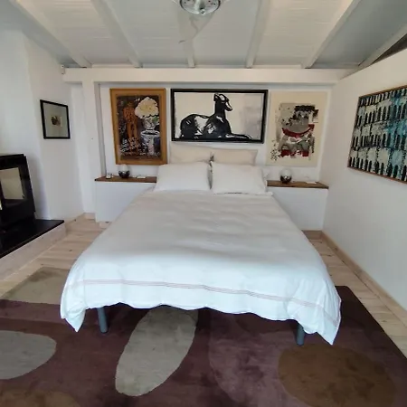 Pinos Y Mar